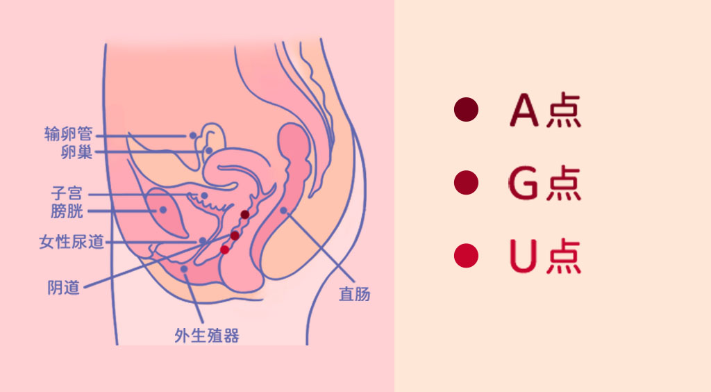 如何挑选适合自己的震动棒