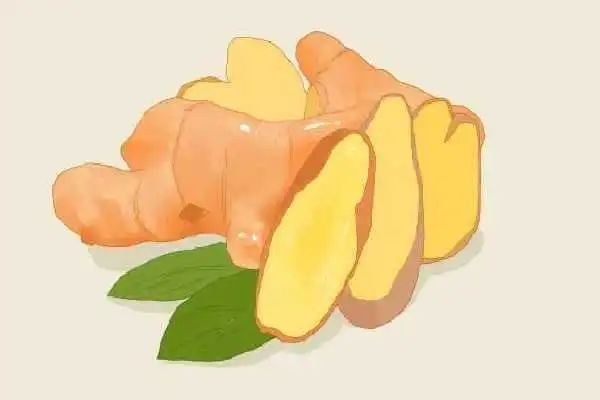 有胃病不能吃生姜