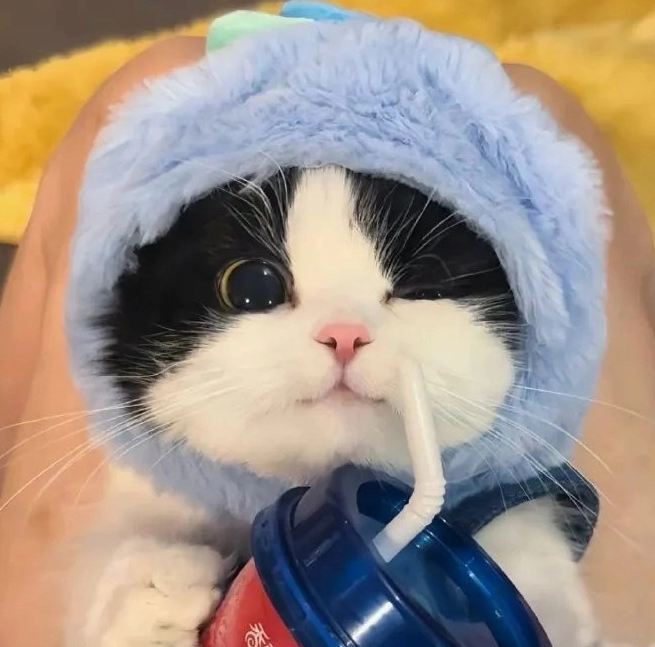 小竹