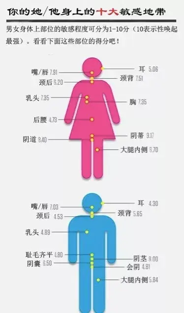 下半身区域