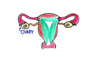 啪时下面发出怪声?羞羞的阴吹了解一下