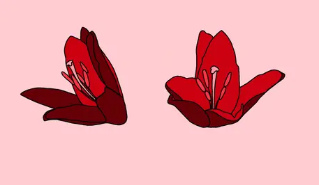 啪时下面发出怪声