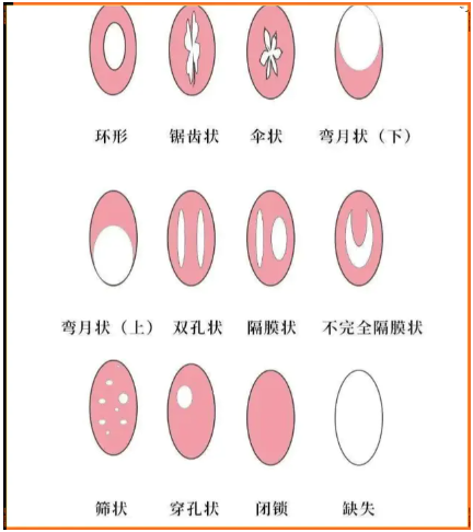 所有女生都应该知道的基础「性知识」