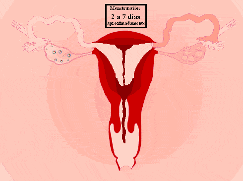 所有女生都应该知道的基础「性知识」