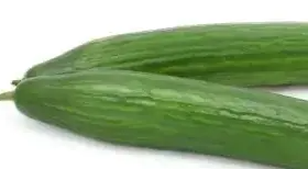 黄瓜型