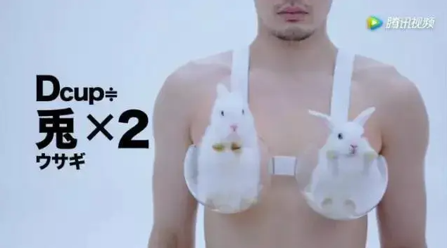 D罩杯相当于两只小兔叽~