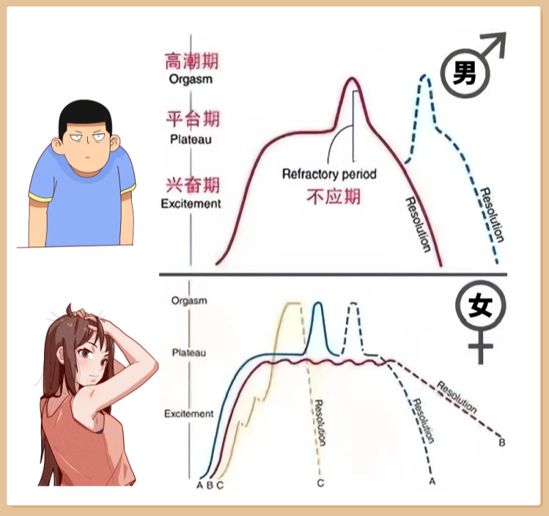 不应期
