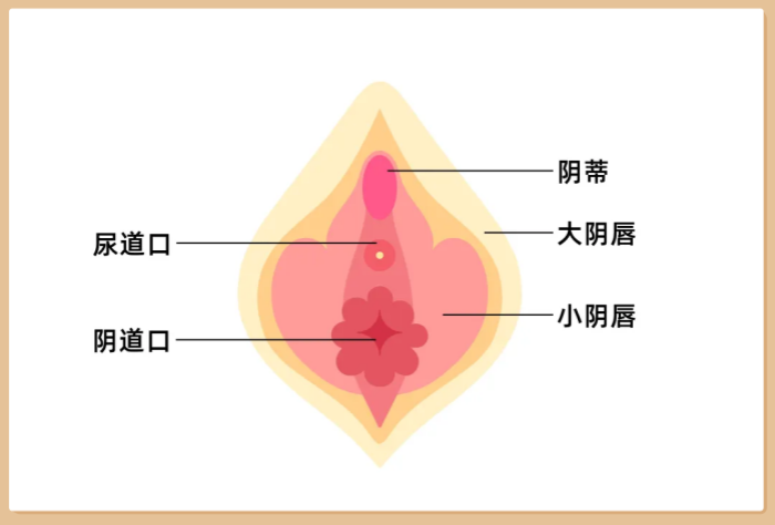 C点