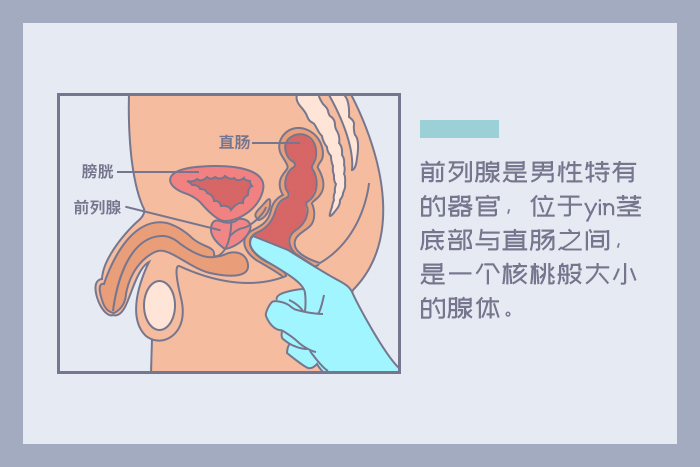 前列腺G潮