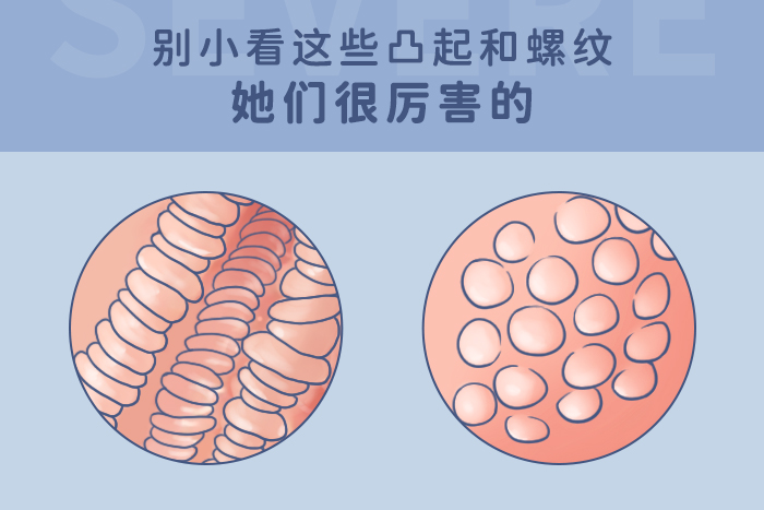 内部构造