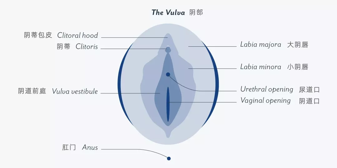 开启女生性糕潮最重要的按钮