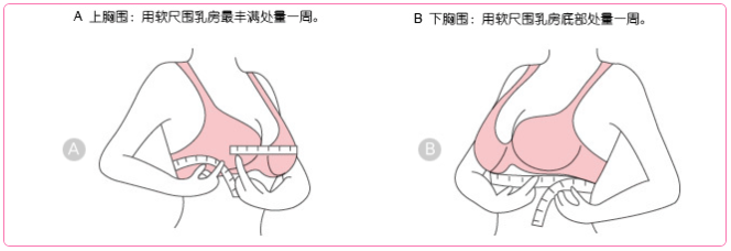 量一下胸部下缘的尺寸