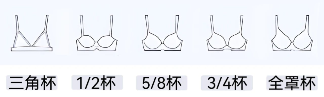 挑选杯型