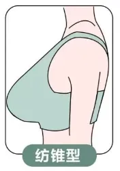 纺锤型