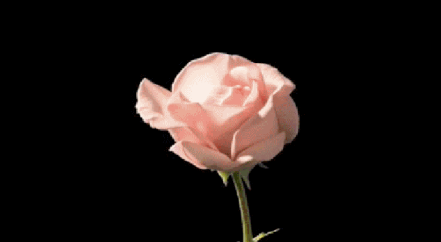 为什么女生叫chuang