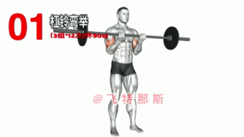 手臂训练