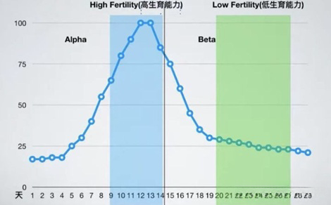 女性的生理期