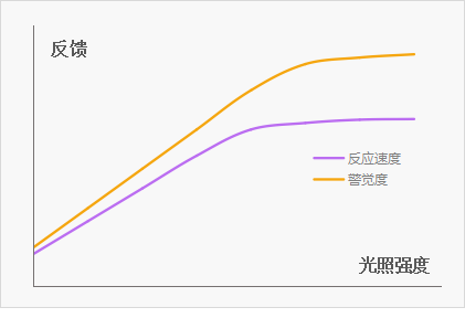 过于明亮的照明