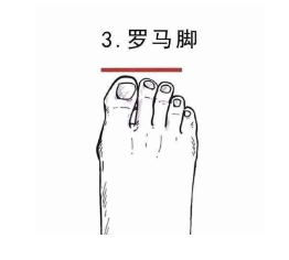 罗马脚