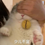 关于电动玩具