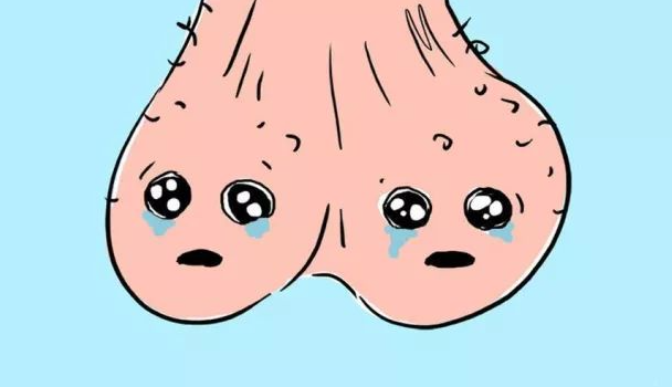 男人蛋蛋大小会影响性能力吗？真相其实是……