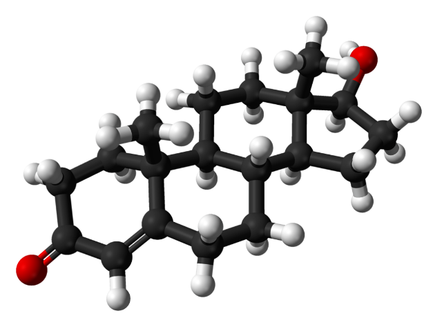 睾酮分子