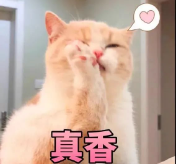 大型真香现场