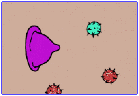 使用润滑剂&安全套