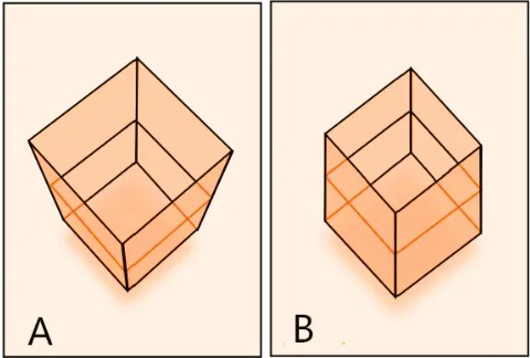 你真正的视觉尺寸