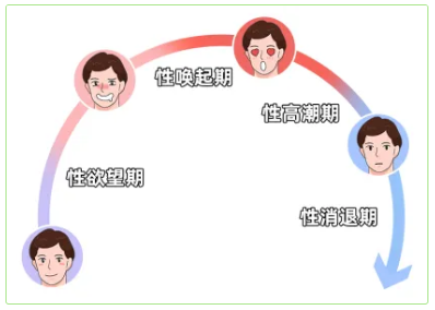 巅峰是终点