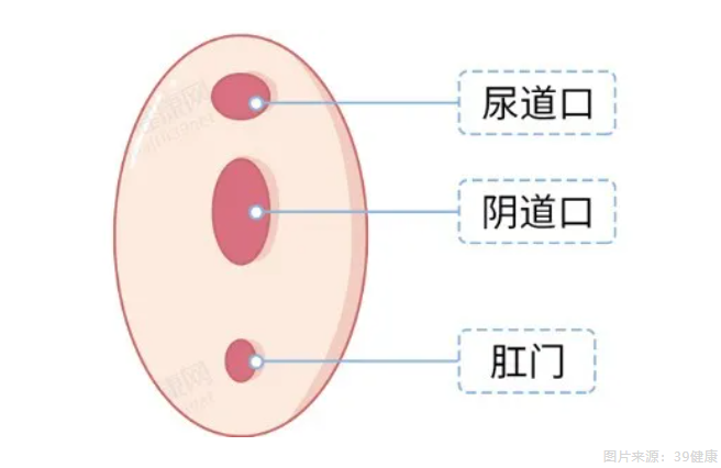 事先掌握一定的性知识储备