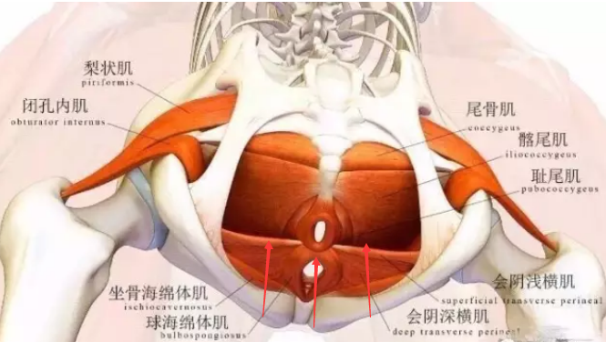 仰视图