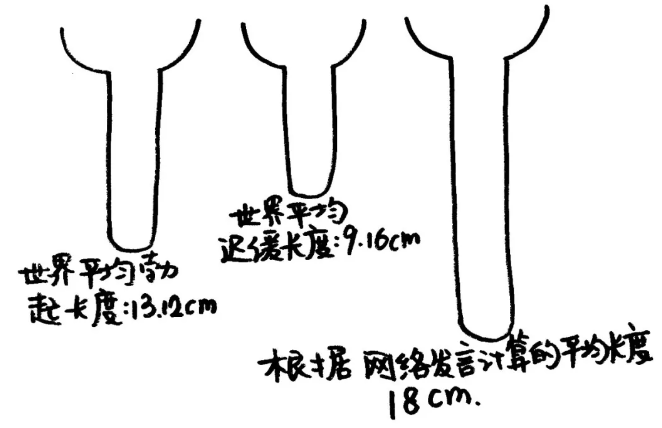 丁丁的平均长度没你想象的那么长