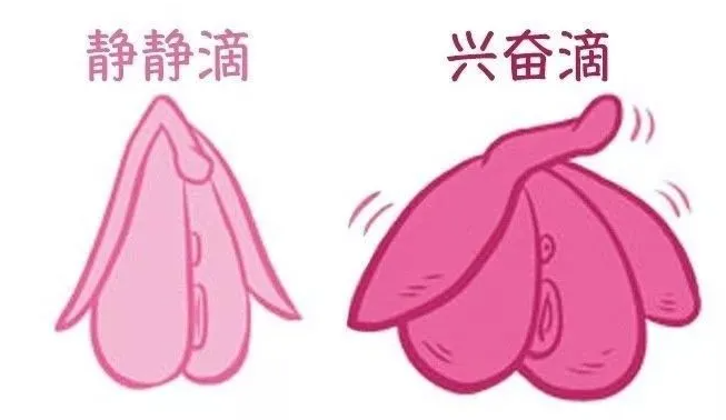 抱悦是一款什么样的女用玩具呢