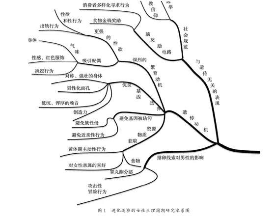 黄体期