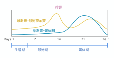 更加直观