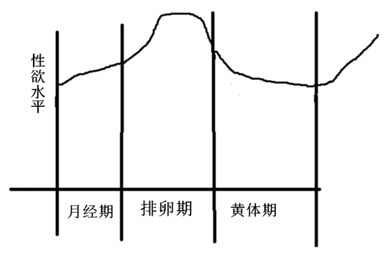 排卵期