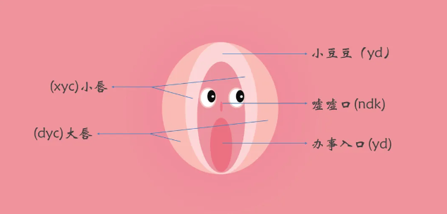 准备工作