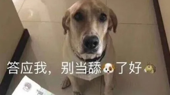 喜欢舔狗的男生吗为什么不喜欢呢