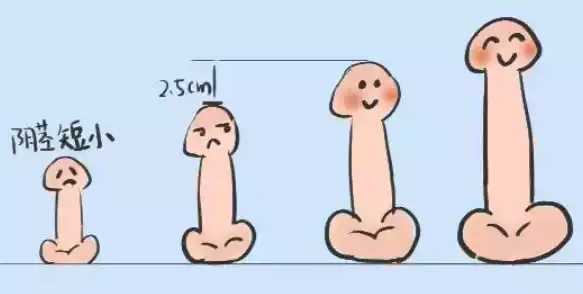丁丁怎么变长变粗最简单方法