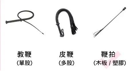 s.m皮鞭长度的选择建议