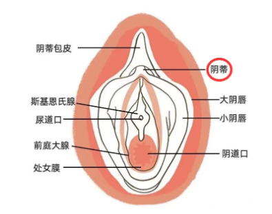 敏感点没有充分开发