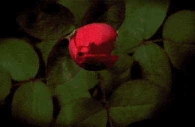 第二次时间很长是什么原因