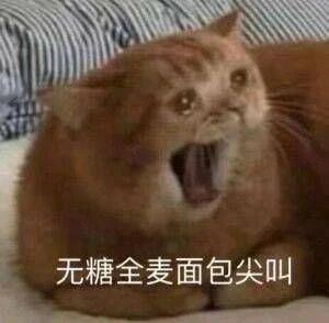 真的会爽到流下生理性的泪水吗?