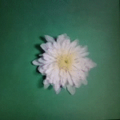 屁屁缝里的毛,最好别剃