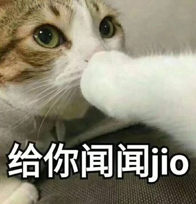人身上什么地方最怕痒?