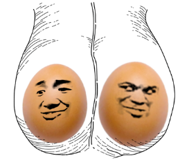 为什么男生的蛋蛋中间会有条缝!