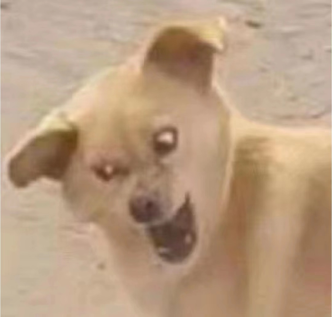 涩涩时男生有哪些下头的行为？