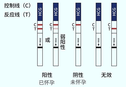 早孕试纸误测怀孕有哪些情况呢