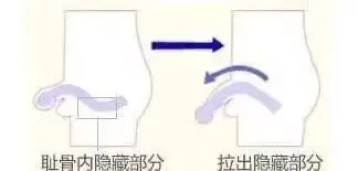这些方法能让小兄弟变得更大吗？